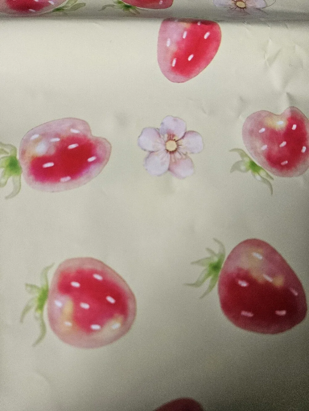 Strawberry Floral Polymailer Packages